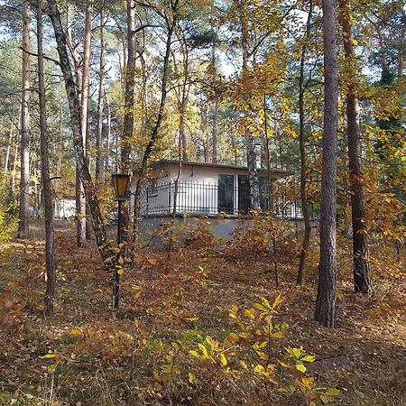 Hausmeise Heidesee エクステリア 写真