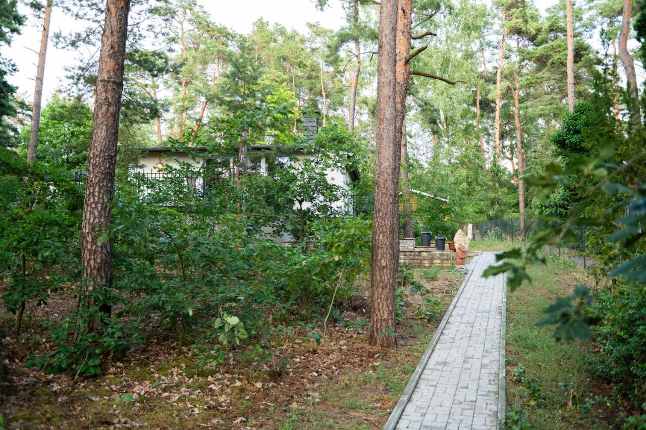 Hausmeise Heidesee エクステリア 写真