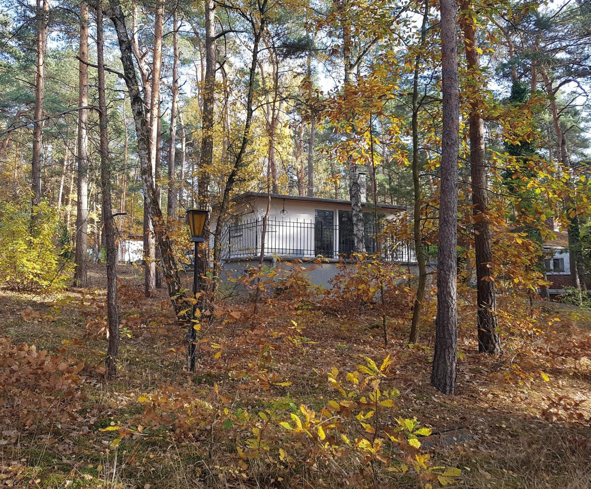 Hausmeise Heidesee エクステリア 写真