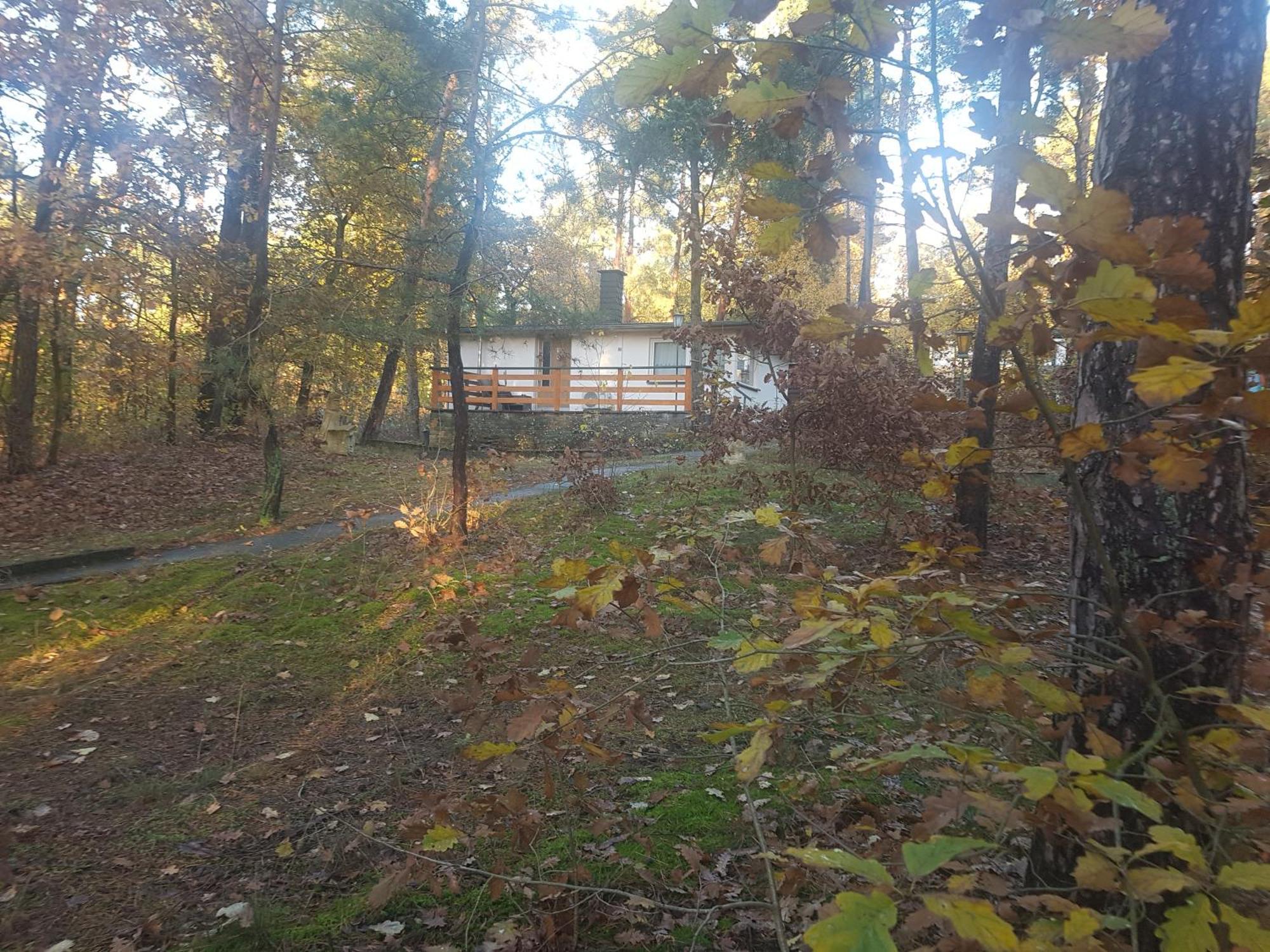 Hausmeise Heidesee エクステリア 写真